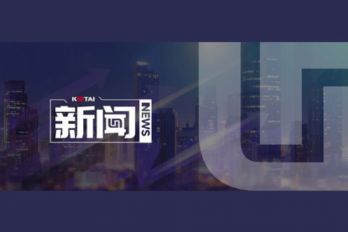 AI革新加速，多宝电竞数码2024全年毛利额营收逆势双升