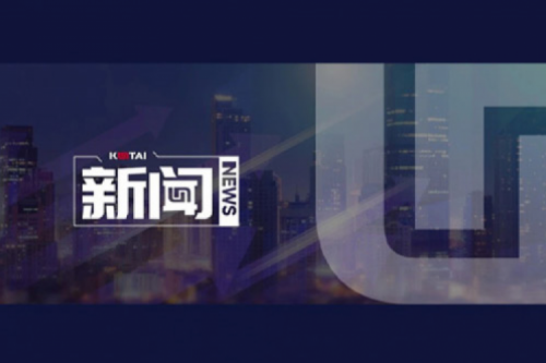 AI驱动新增长，扣非净利提升10%，多宝电竞数码2025一季度稳健开局